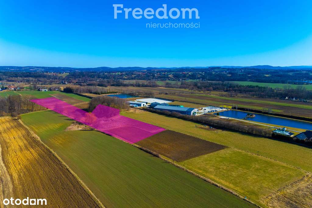 Duża widokowa działka z możliwością podziału! - Pełny obrazek: 5/8