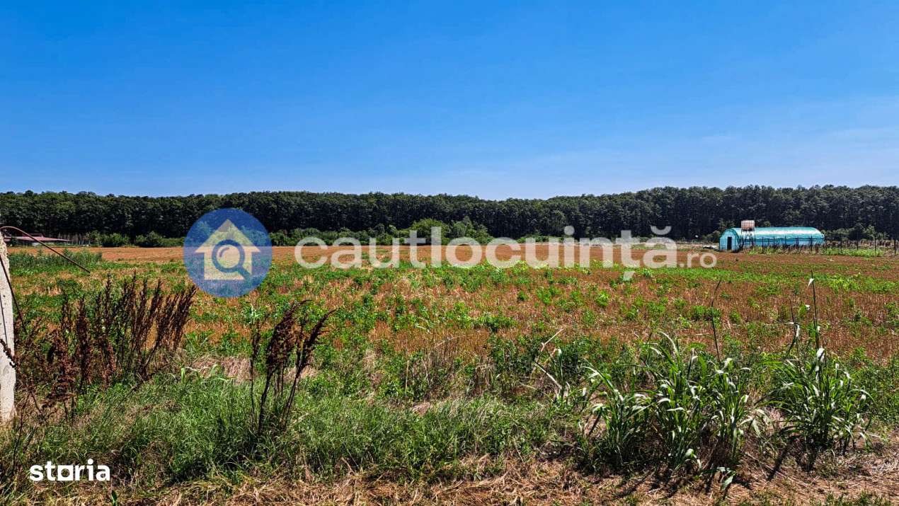 Teren de vanzare intravilan Ghermanesti | Scoala Ghermanesti | Mega Im - Imagine principală: 3/3