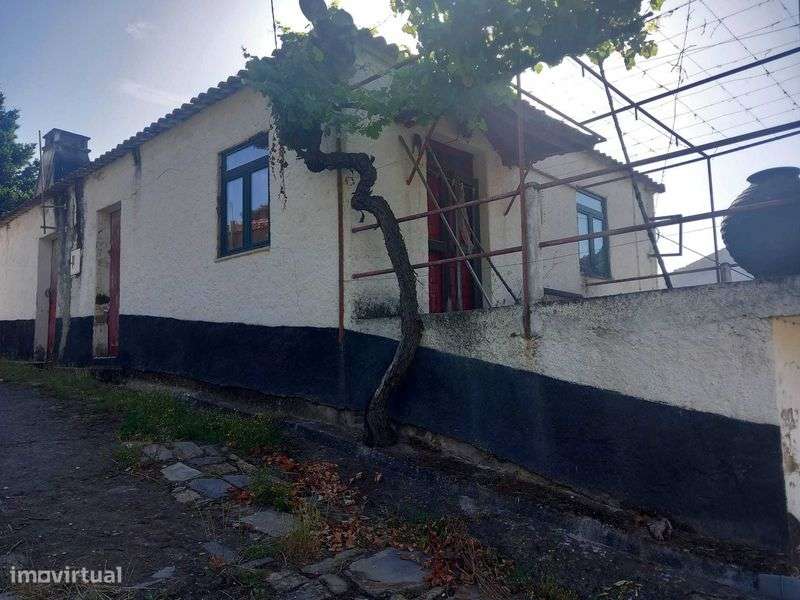 Vende-se Quinta no Douro - Grande imagem: 4/5