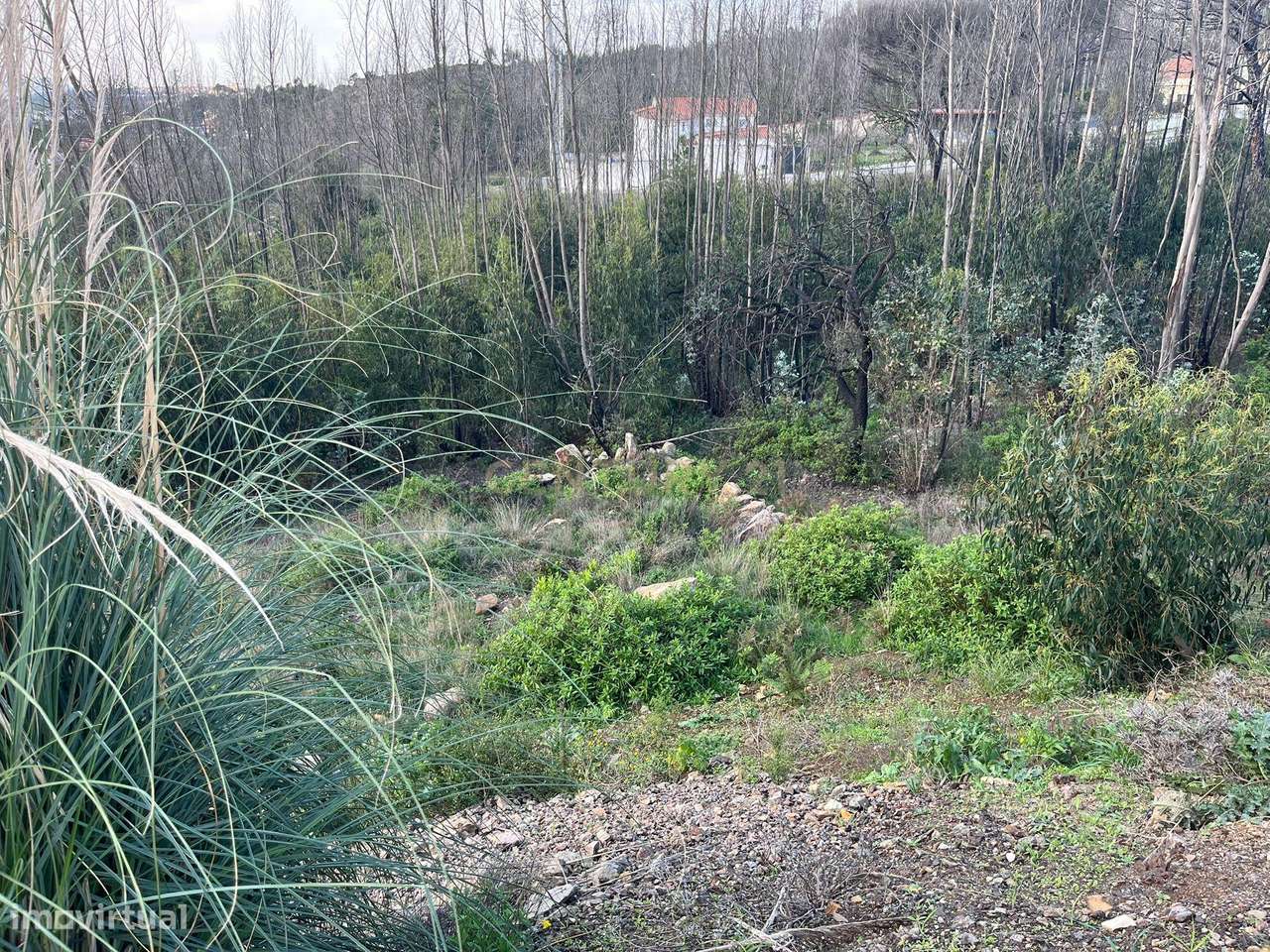 Terreno Urbano para Construção em Almargem do Bispo - Grande imagem: 5/7