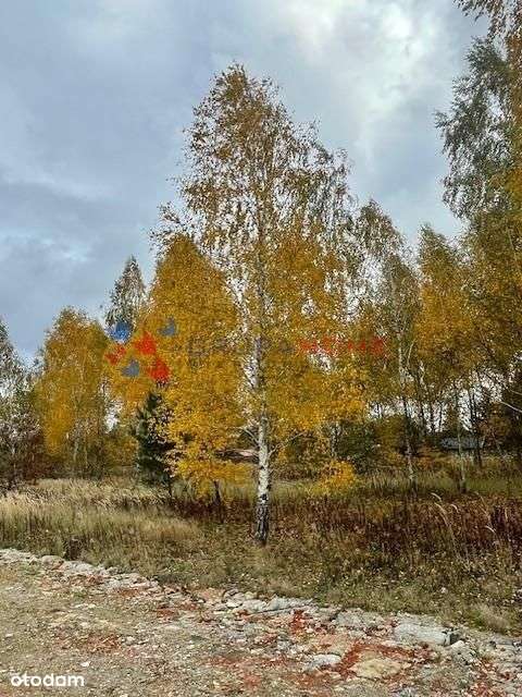 Cicha okolica, dobry dojazd - Pełny obrazek: 5/5