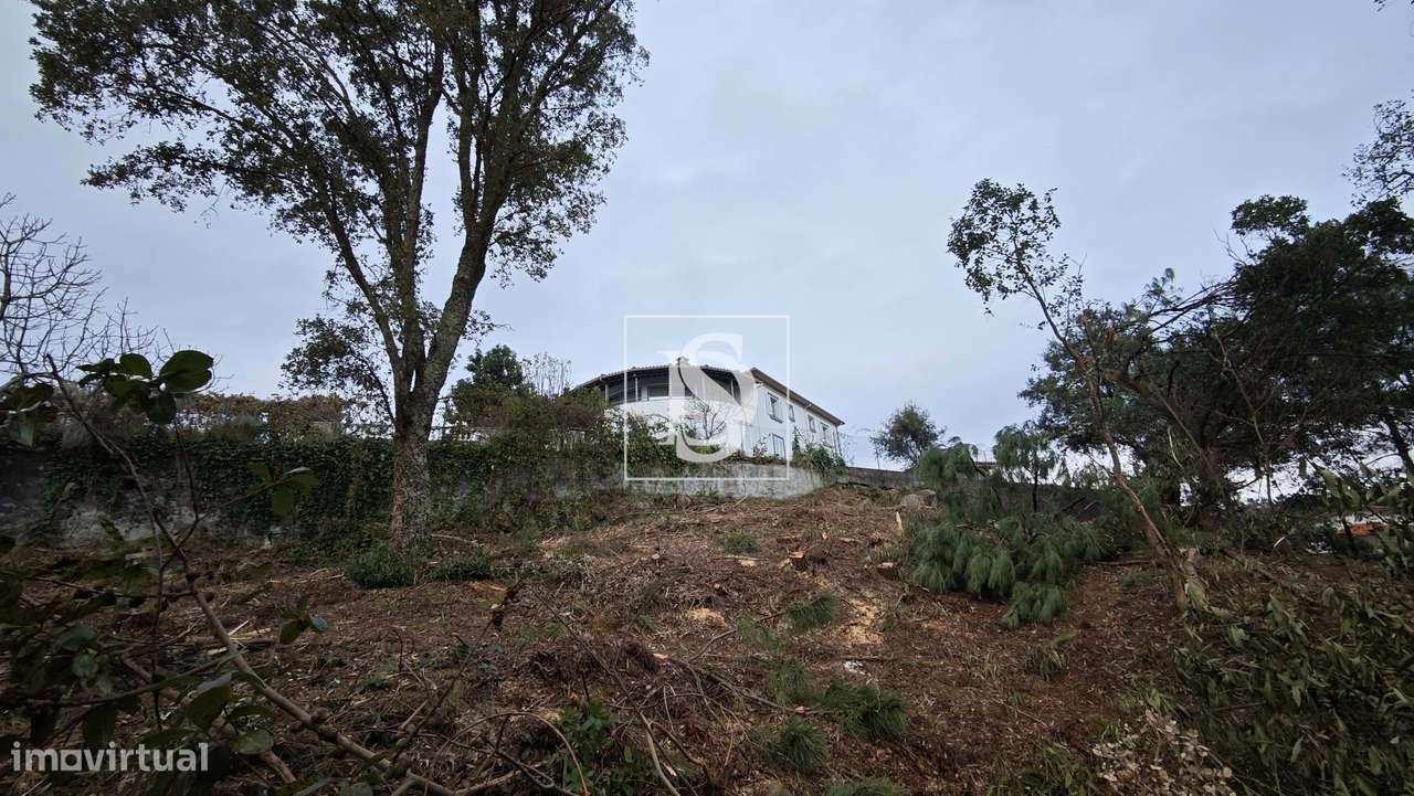 Terreno para construção em Anha com belas vistas - Grande imagem: 5/17