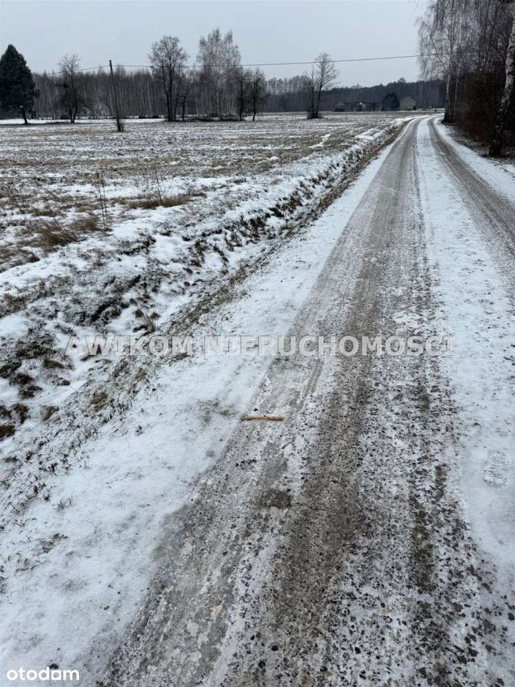 Działka, 24 000 m², Jaktorów-4