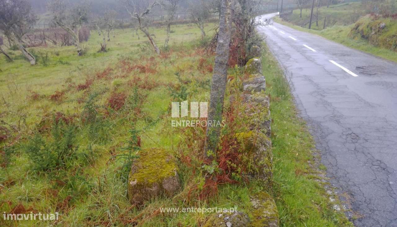Venda Terreno,Soalhães, Marco de Canaveses - Grande imagem: 5/39