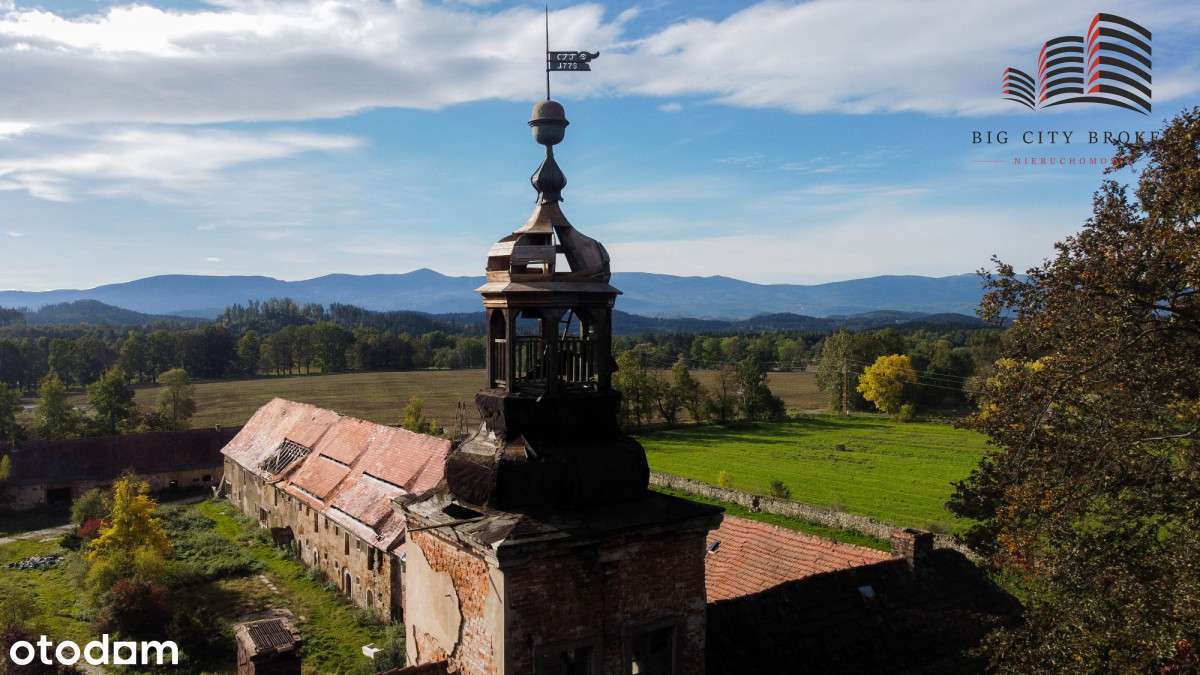 Pałac wraz ze stajniami i parkiem do rewitalizacji - Pełny obrazek: 4/15