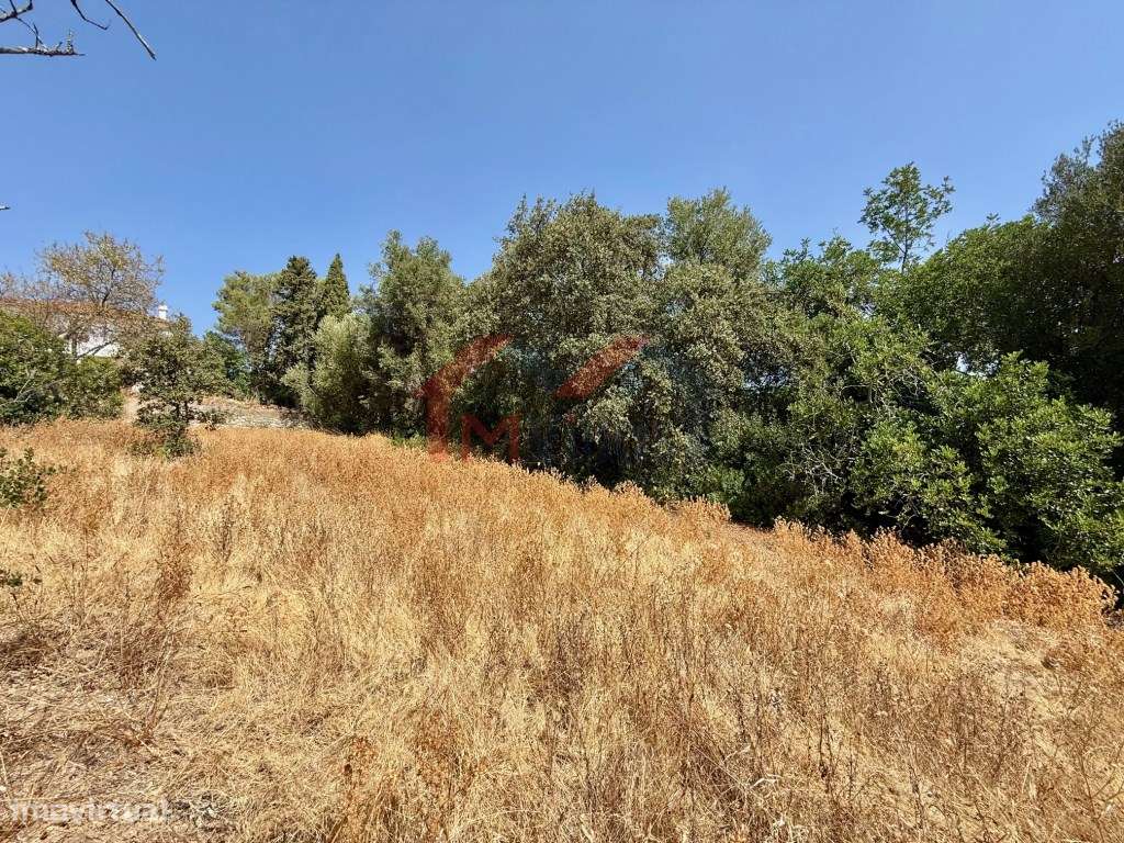 Terreno urbano com vista campo - São Brás de Alportel - Grande imagem: 4/6