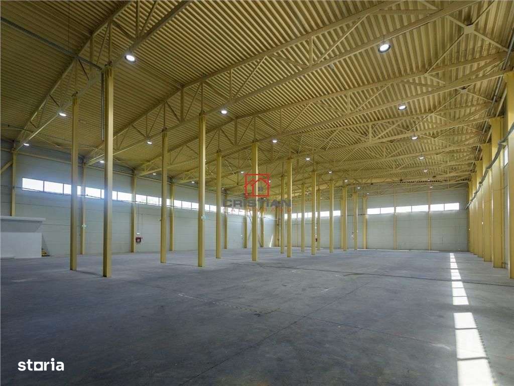 Inchiriere depozithalaspatiu industrial Otopeni - Centura - Imagine principală: 4/20