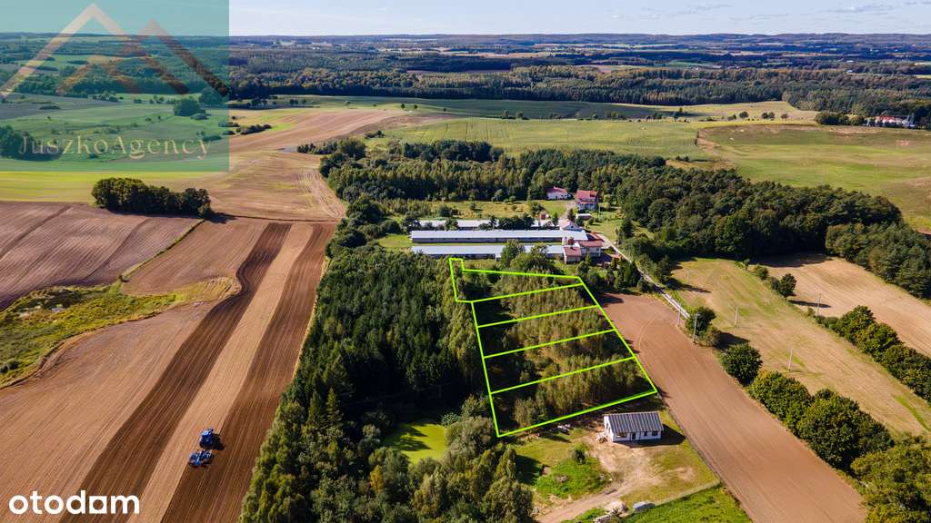 Rychnowo. Działki przy lesie z warunkami zabudowy.-18