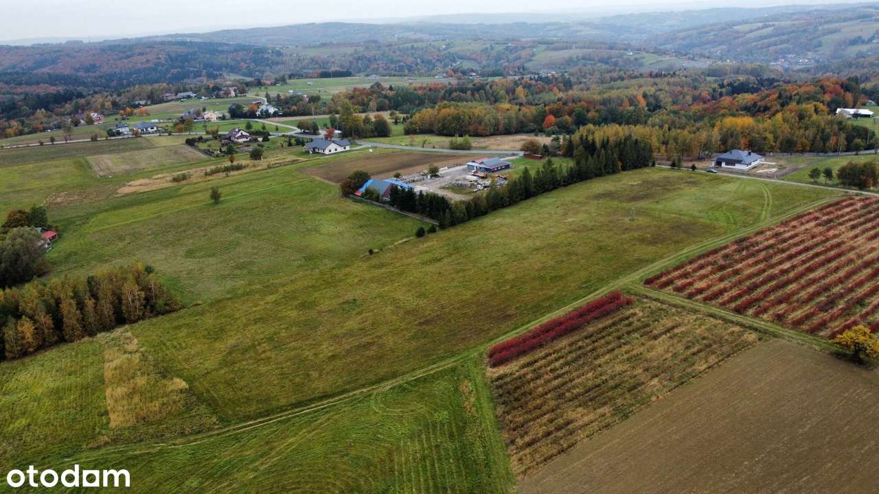 działka Widokowa _ południowy stok - Pełny obrazek: 5/5