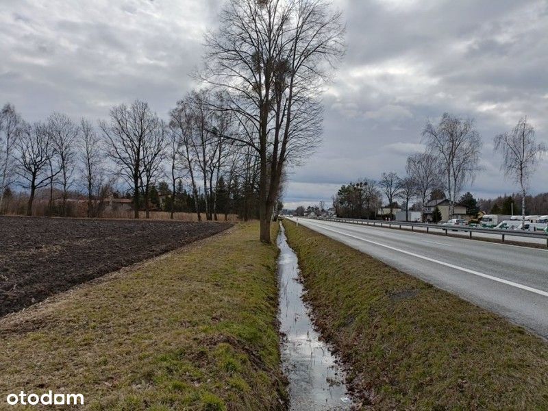 Zbytków, Dk81, działka usługi