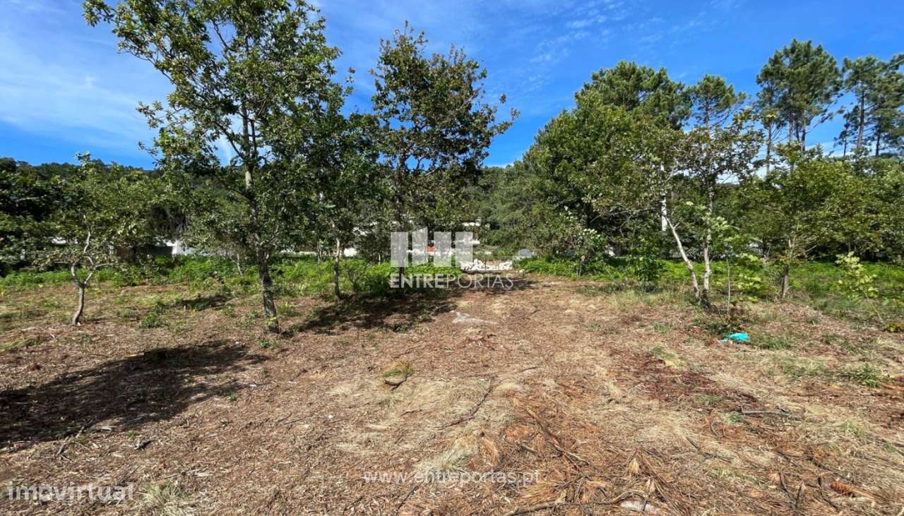 Venda de fantástico terreno para construção, Areosa, Viana do Caste - Grande imagem: 2/30