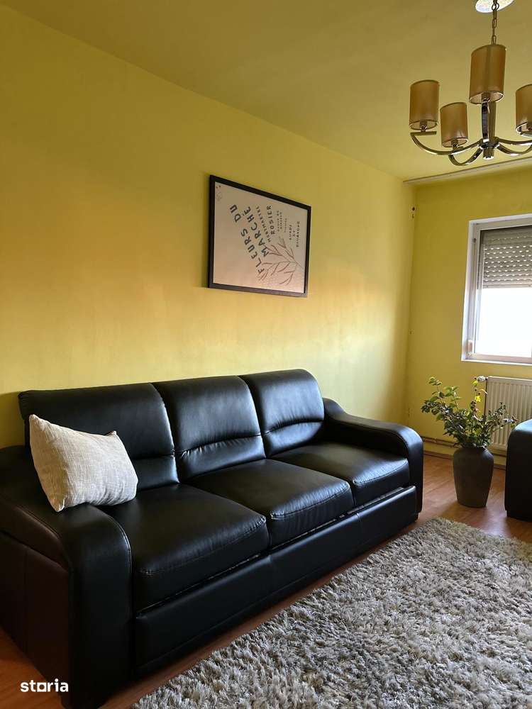 Vand apartament 3 camere-zona Lebada-11