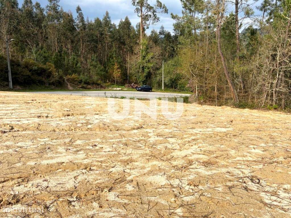 Terreno Rústico - Envolvente de Natureza - Grande imagem: 5/20