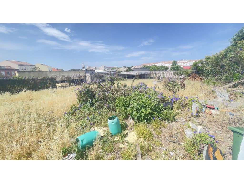 Terreno rústico com 2000m2 na Ajuda - Grande imagem: 2/7