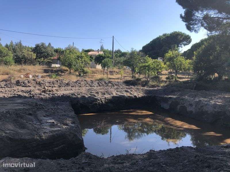 Monte em Feixe - Coruche, 5 ha-4