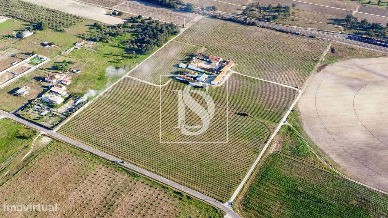 Herdade T3+2 Venda em Poceirão e Marateca,Palmela-25