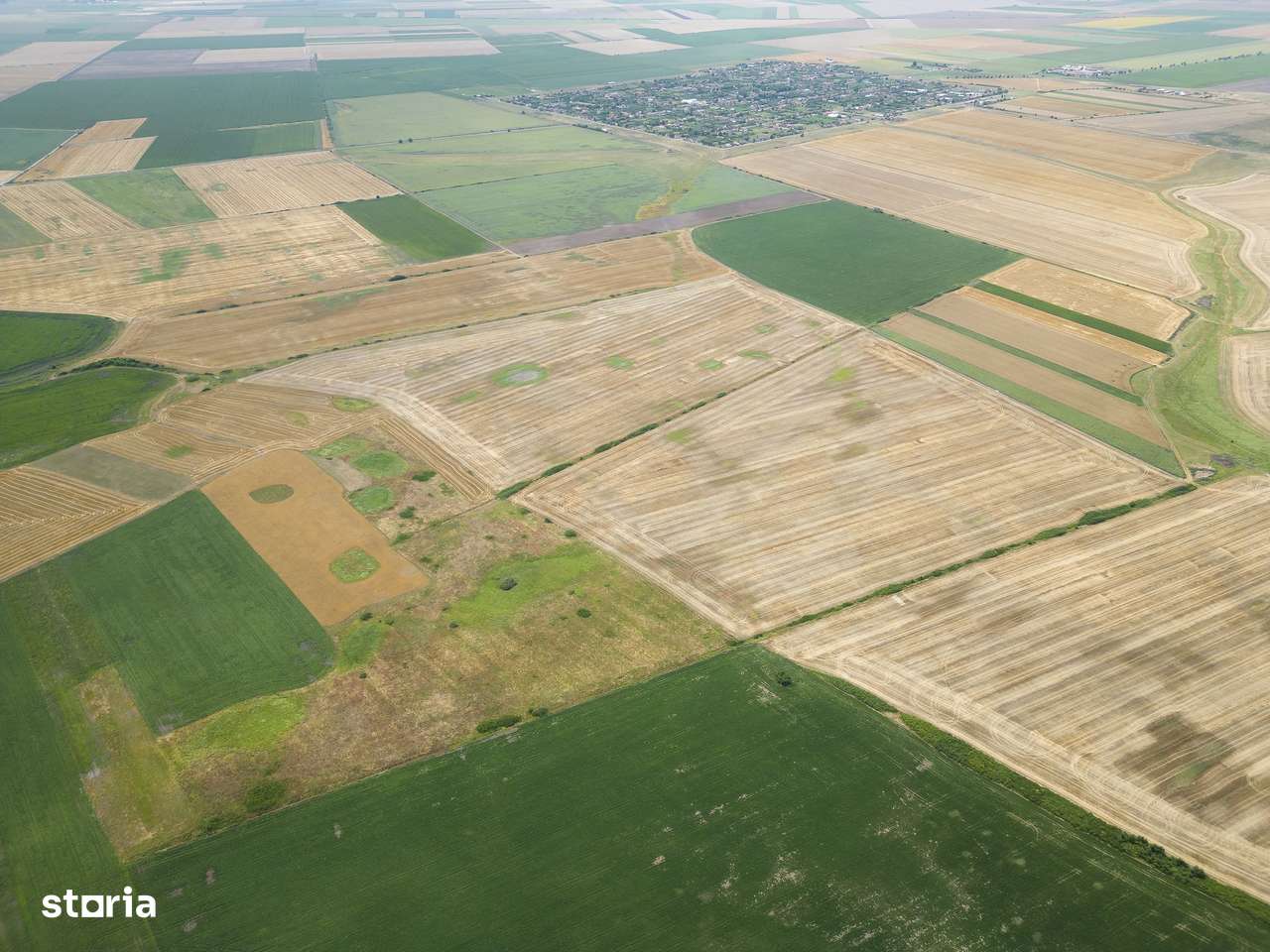 Teren arabil de 40 hectare în Zarand - Imagine principală: 3/4