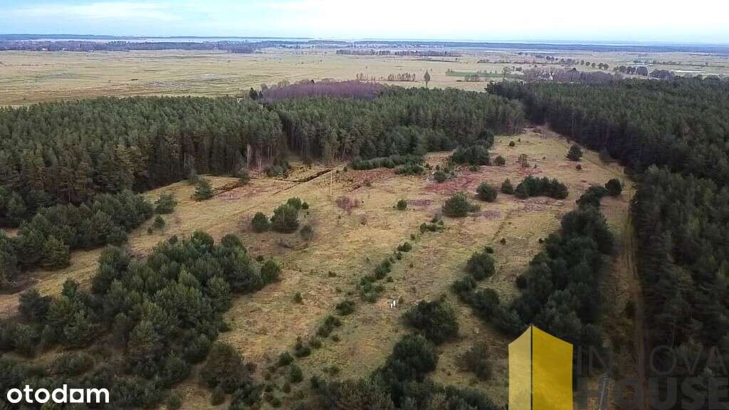 działka Smołdzino 2841 m2 - Pełny obrazek: 4/6