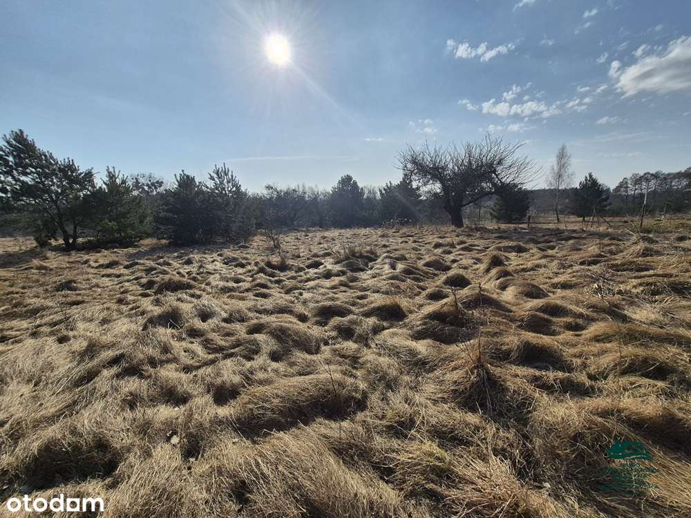 Działka 1563m2 z warunkami zabudowy Zgoda Aleksandrów Kujawski-4