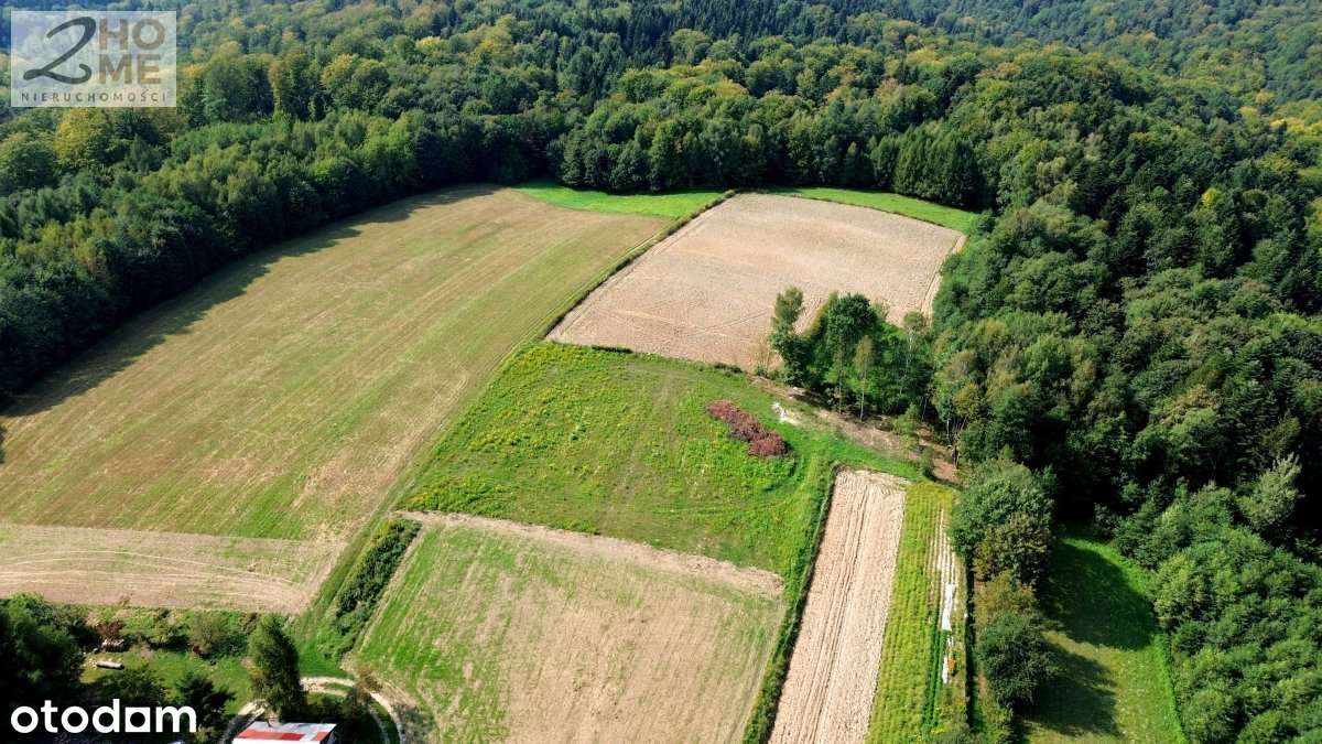 Twój kawałek spokoju - 38 arów w Gębiczynie-16