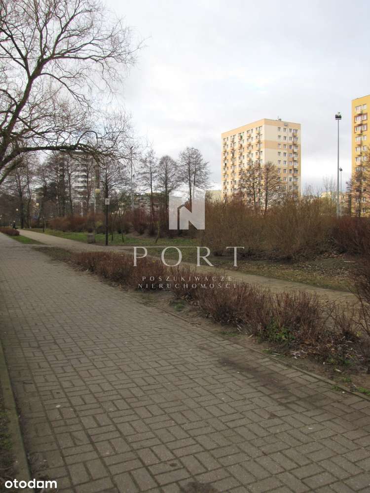 2 pokoje w zaciszu Chyloni. - Pełny obrazek: 5/5