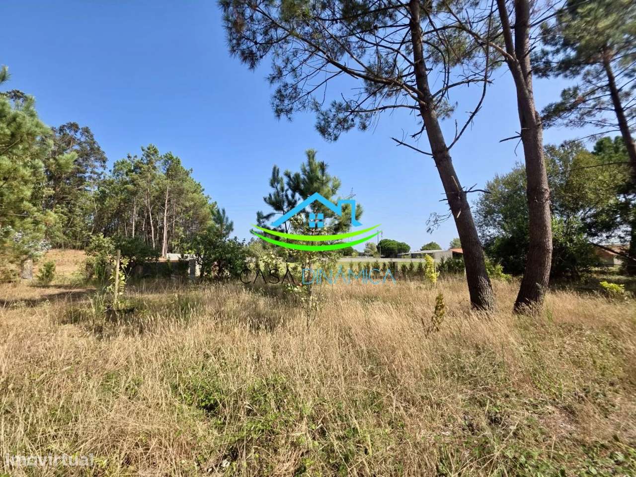 Terreno com 8.369 m² e possibilidade de construção – Arazede, Mon-48