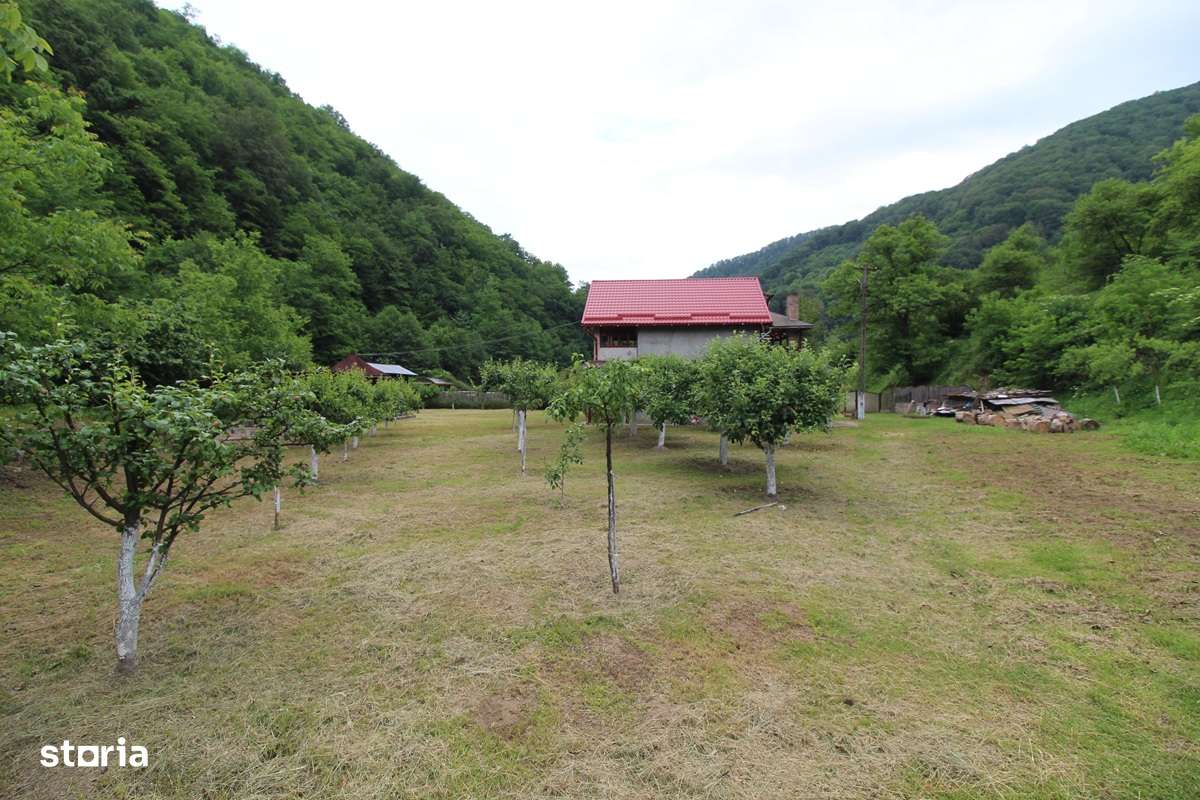 Vând casă P+M în Toplița, la 22Km de Hunedoara, teren 1500mp - Imagine principală: 4/20