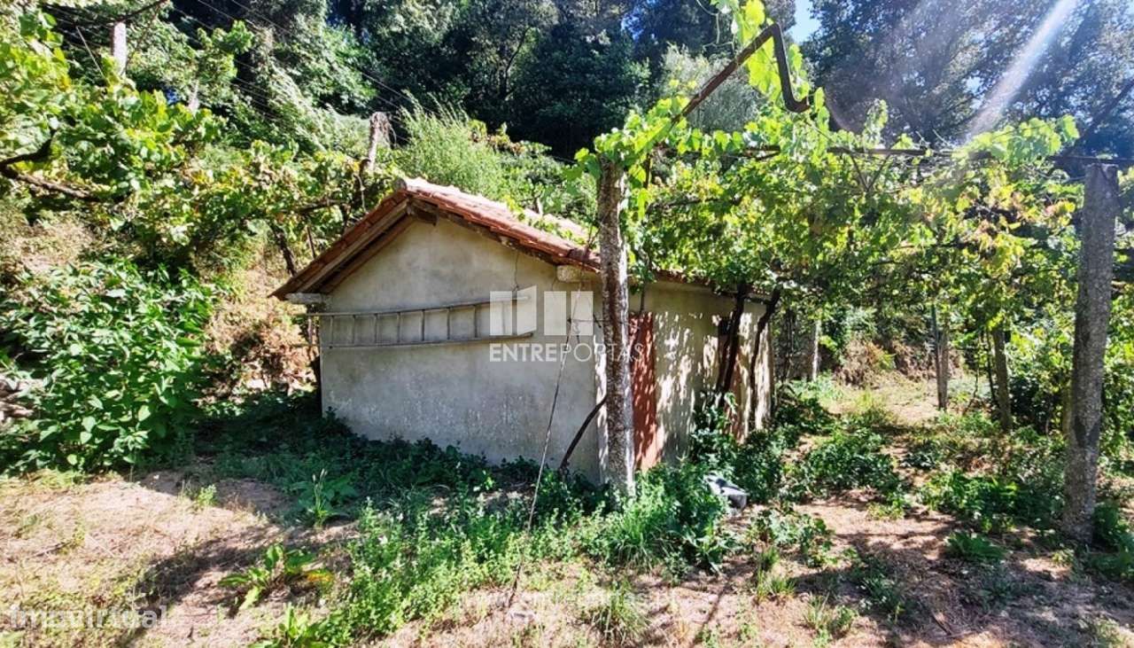 Venda de terreno agrícola c/ anexo, Vale, Arcos de Valdevez - Grande imagem: 4/18