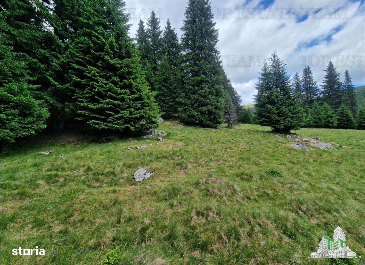 Teren intravilan de vanzare Padina Muntii Bucegi - Imagine principală: 5/7