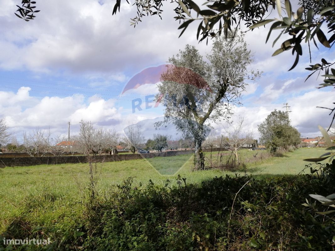 Terreno  para venda