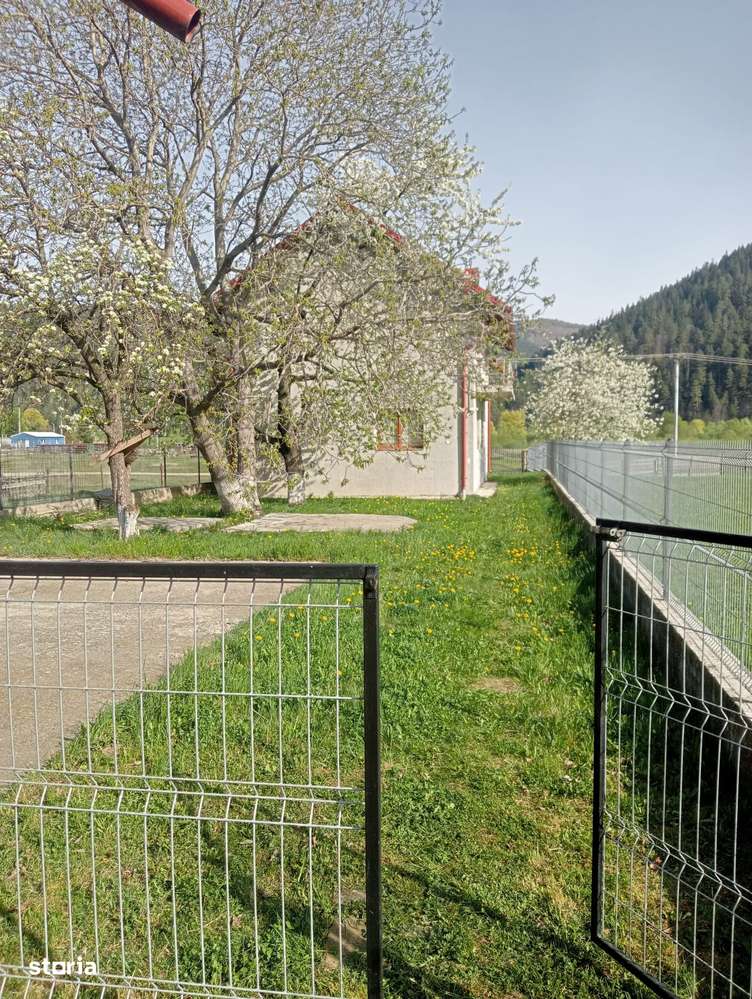 Vindem proprietate in orasul Frasin, Bucsoaia - Bucovina-13