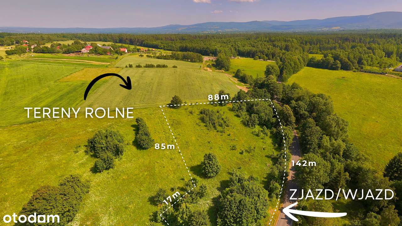 PIĘKNA DZIAŁKA 6336 M²/ŚWIECIE /PIĘKNE WIDOKI/MPZP/MOŻLIWOŚĆ PODZIAŁU-10