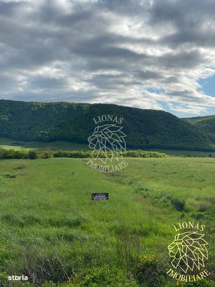 Teren intravilan-Crainimat -3000mp-ideal investitie construire casa - Imagine principală: 4/4