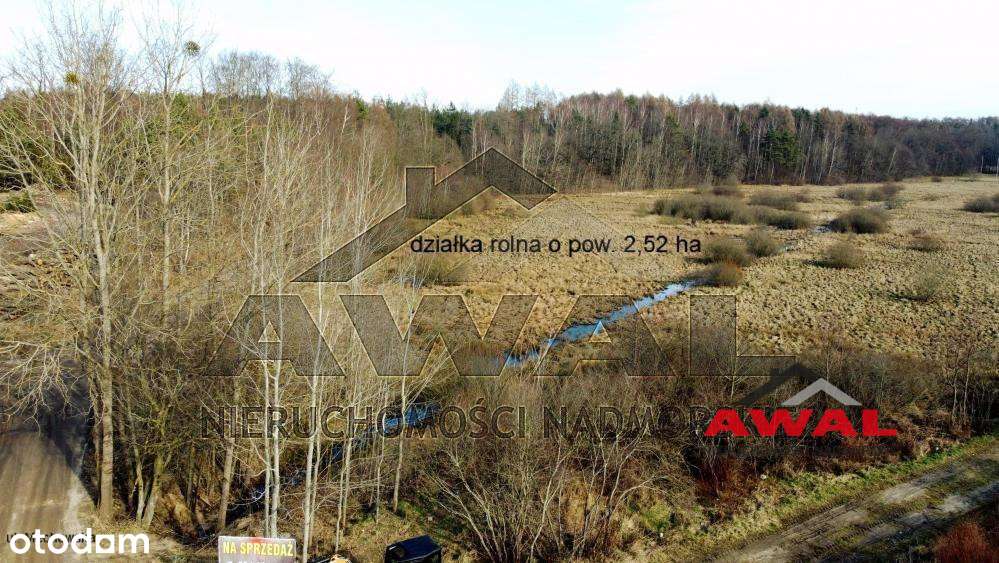 Duża działka rolna w Leśniewie blisko lasu-18