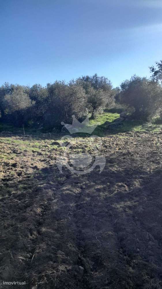 Terreno Rústico - Corval - Grande imagem: 4/4