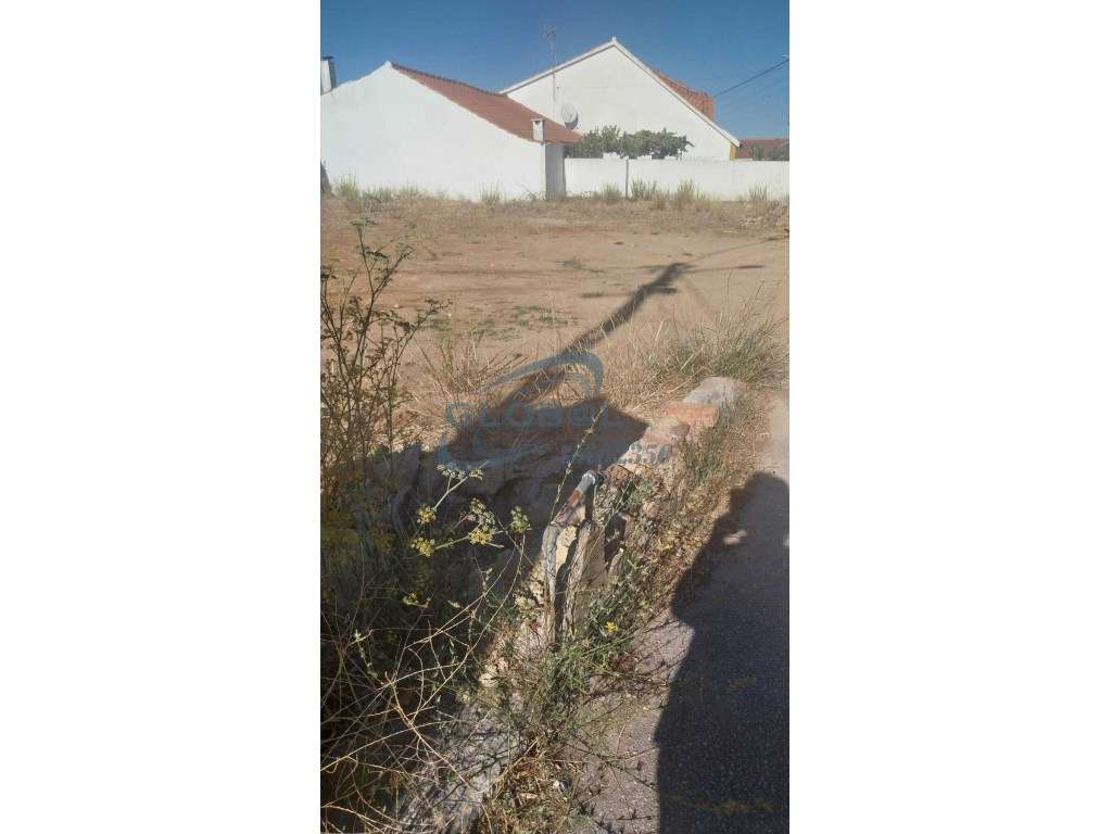 Terreno Venda Torres Novas - Grande imagem: 4/8