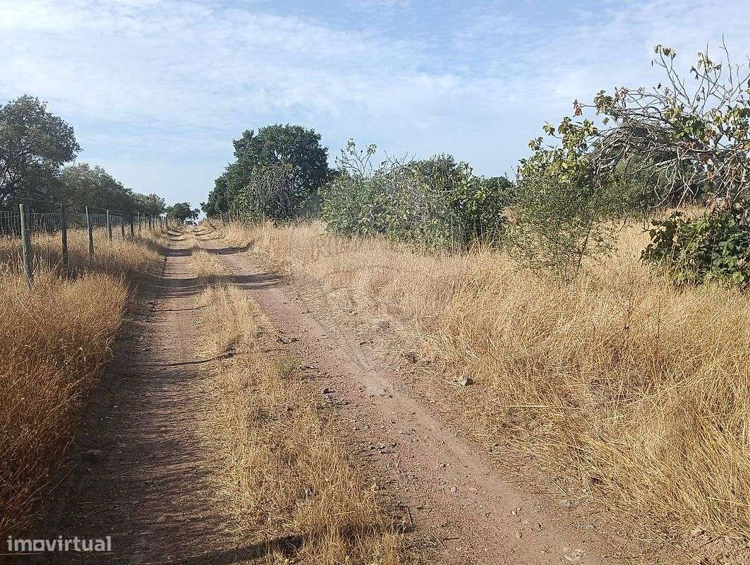 Terreno  para venda - Grande imagem: 5/17