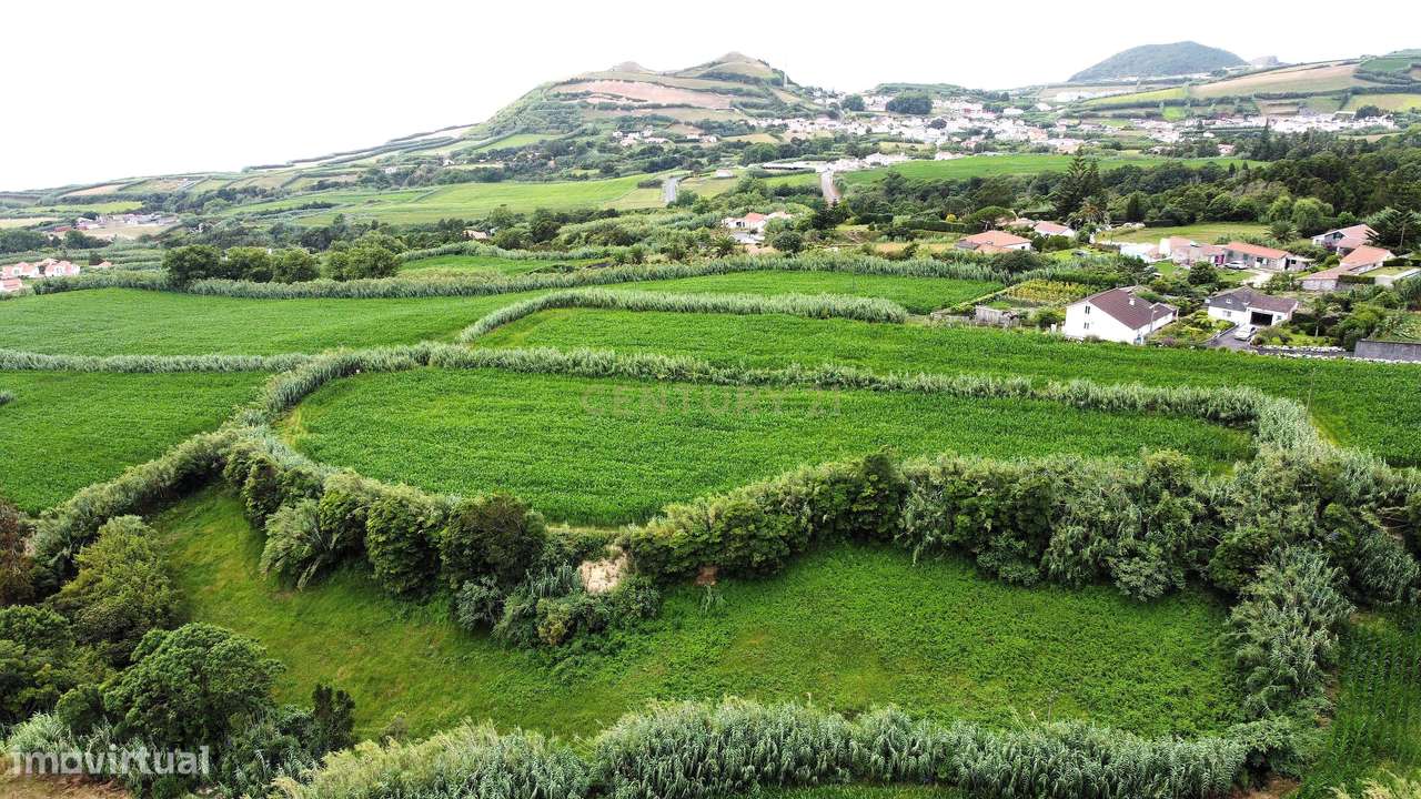 Terreno com Viabilidade de Construção, nos Ginetes - Grande imagem: 4/5