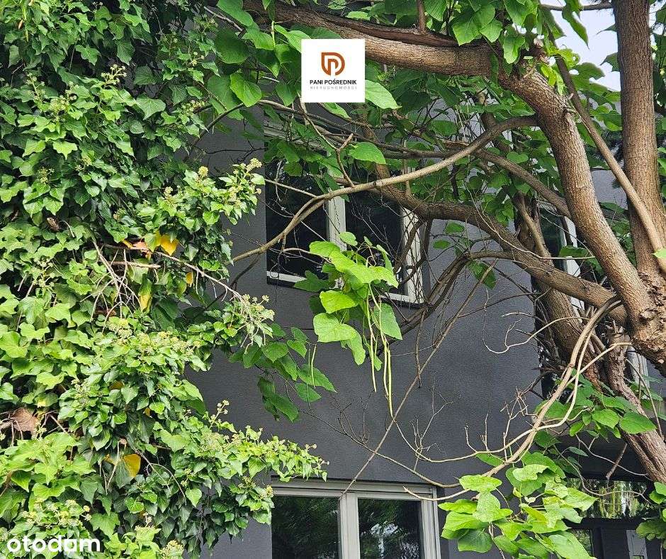 Wrocław | Grabiszyn | dom wolostojący - Kupujący nie płaci prowizji!!-5