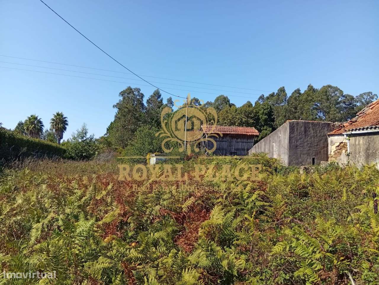 Terreno com 2000m2 em Rio Meão - Grande imagem: 4/11