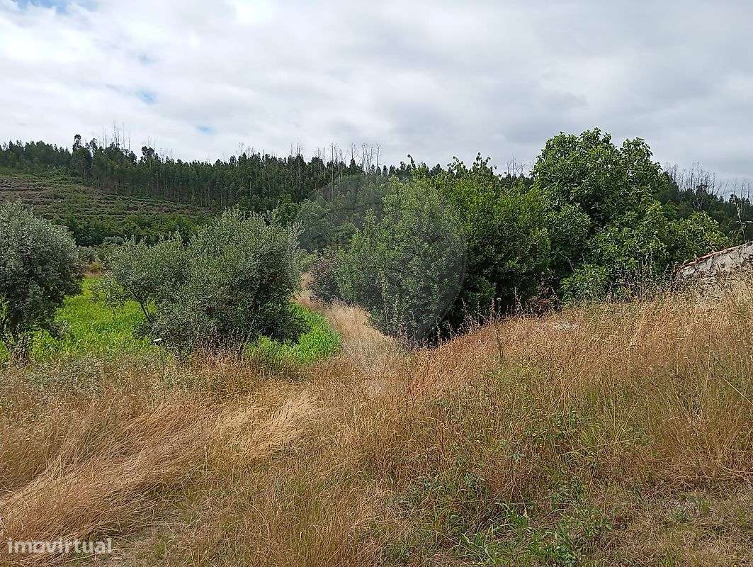 Quinta  para venda - Grande imagem: 5/25