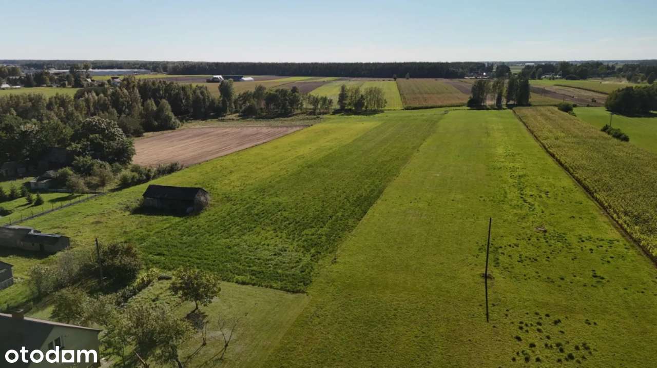 Działka 3000m2; Zambrów; ul. Stokrotki-5