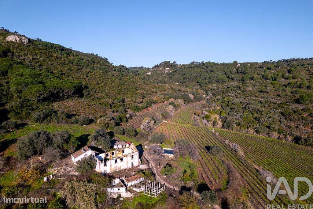 Quinta T4 em Setúbal de 200 m2 - Grande imagem: 4/40