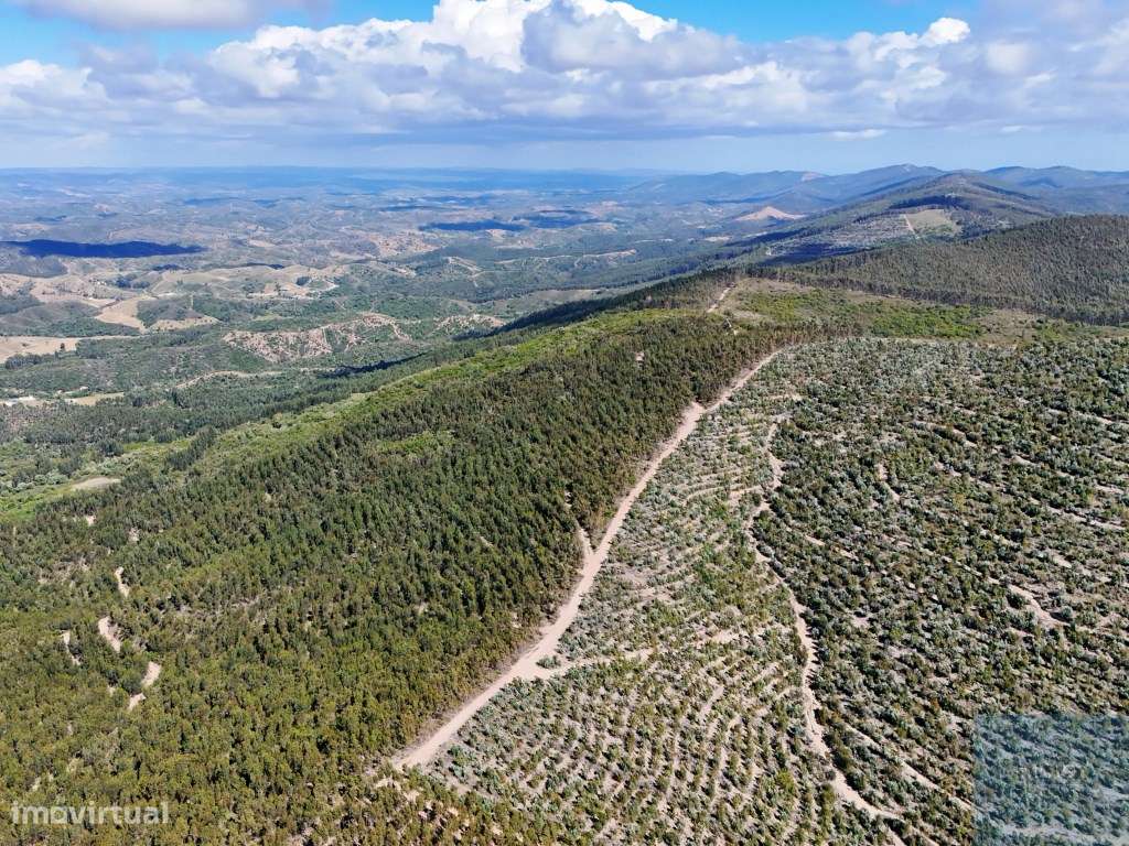 Terreno em São Teotónio, Odemira-13