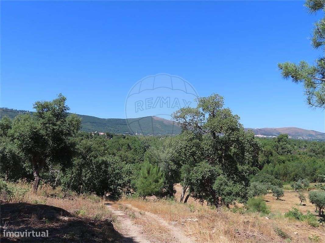 Quinta  para venda - Grande imagem: 2/50