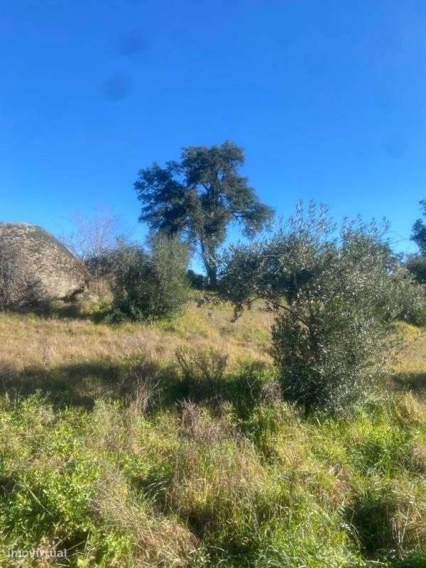 Terreno - Grande imagem: 4/5