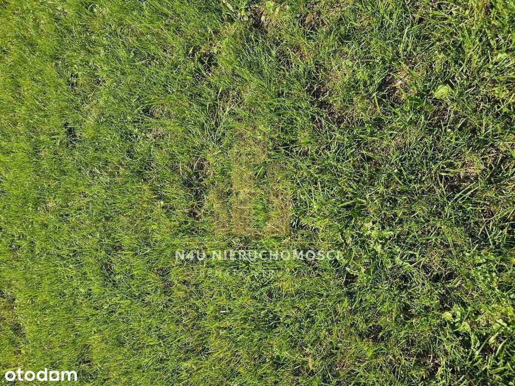 Asfalt Kanalizacja Gaz Światłowód Prąd Gaz - Pełny obrazek: 4/5