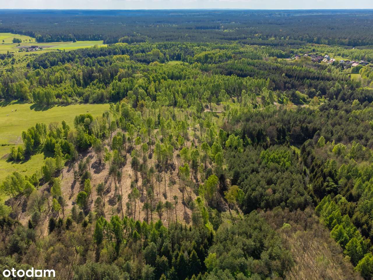 Działka inwestycyjna-7