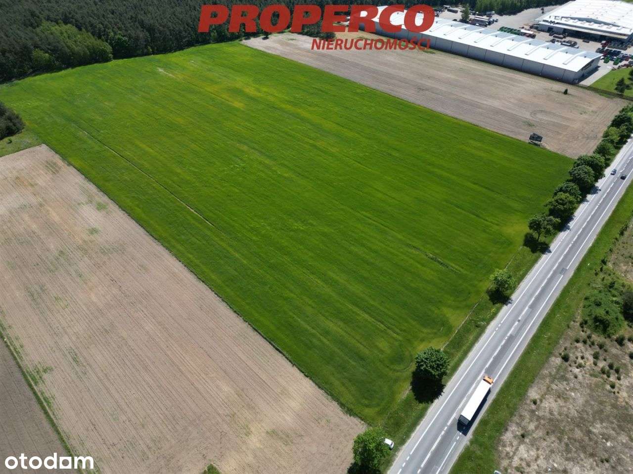 Działka 60642m2, Młyny, Busko-Zdrój - Pełny obrazek: 5/5