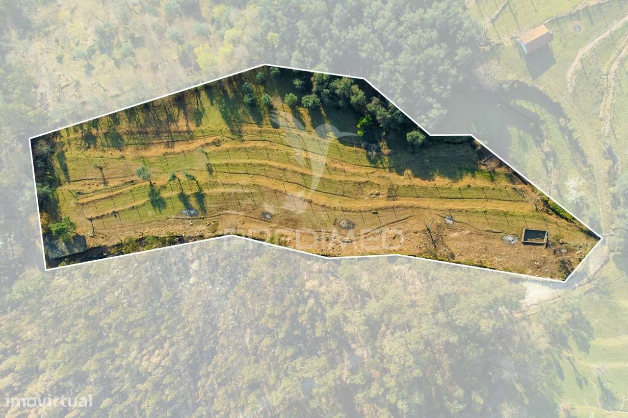 TERRENO COM CASA RUSTICA - VALDOSENDE, RIO CALDO, GERÊS - Grande imagem: 3/27